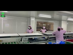 55in Wi-Fi connesso Digital Blackboard per l'insegnamento